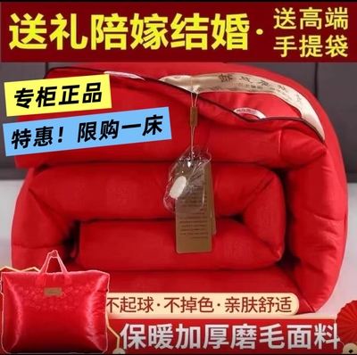 加厚手工蚕丝被春秋被冬被