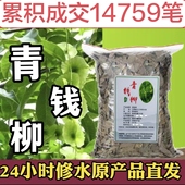 江西修水野生古树青钱柳正品 中药材桑叶茶金钱柳叶茶嫩叶淫羊藿叶