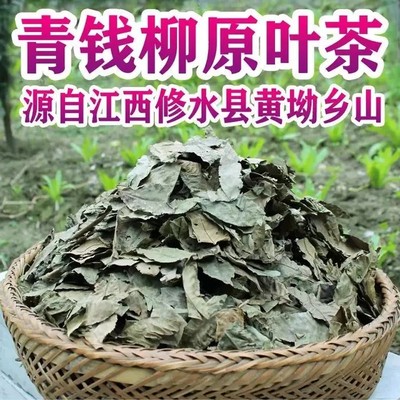 喝一杯高山古树青钱柳茶养生茶修水野生金钱柳绿茶嫩叶