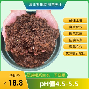 高山杜鹃营养土 种植家用移栽地栽庭院园艺肥效持久生根防虫防病