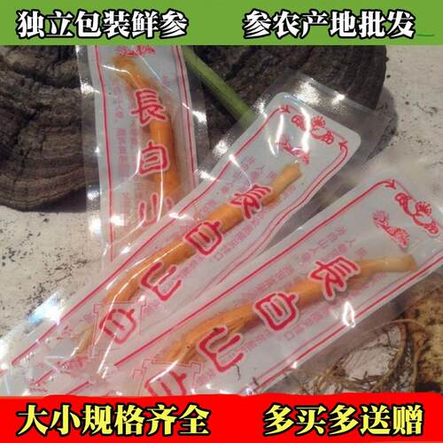 长白山脉人参之乡新鲜鲜参