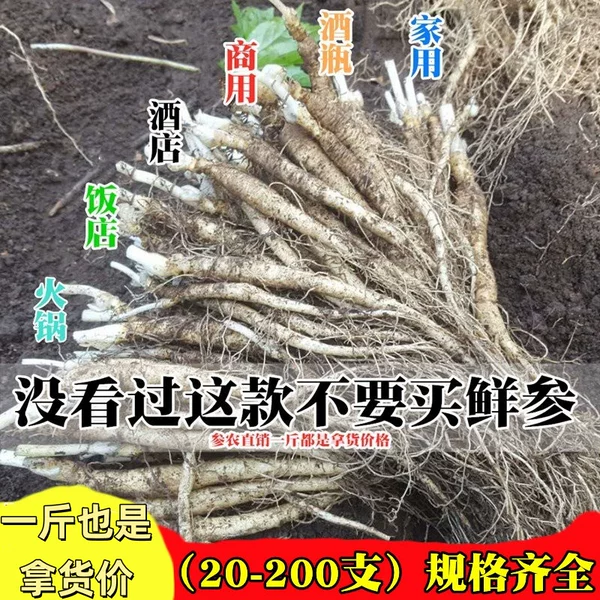 Товары от lihongyuhaitao