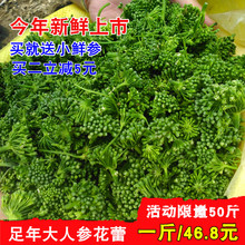 煲汤人参花 包邮 新晒东北长白山人参花茶 足年野生大花蕾250g半斤