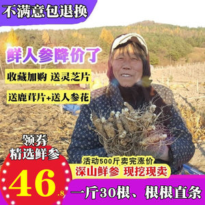 现挖鲜人参 长白山人参泡酒吉林人参新鲜人参带土保鲜叁包邮足年