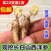 Товары от lihongyuhaitao