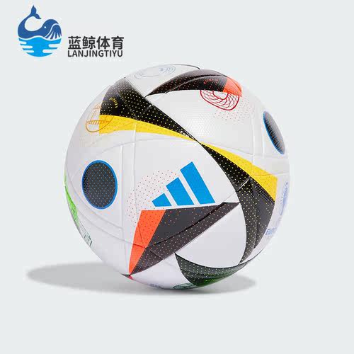 Adidas/阿迪达斯正品德国欧洲杯比赛训练5号足球IN9367