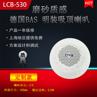 吸顶喇叭吊顶音箱明装 德国BAS 音响公共广播校园店铺餐厅 LCB 530