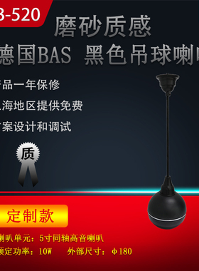 德国BAS 吊顶喇叭 背景音乐 吊球音响 公共广播 吊球音响 LCB-520