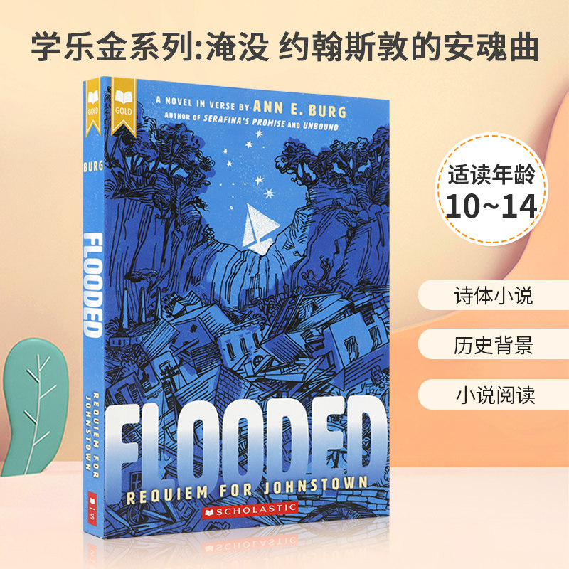 诗体小说 历史背景 小说阅读