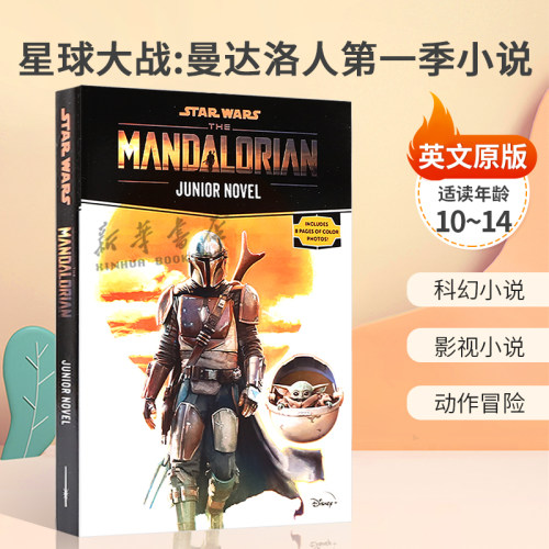 英文原版Star Wars: The Mandalorian Junior Novel星球大战：曼达洛人第一季小说青少科幻影视小说 动作冒险平装10-14岁