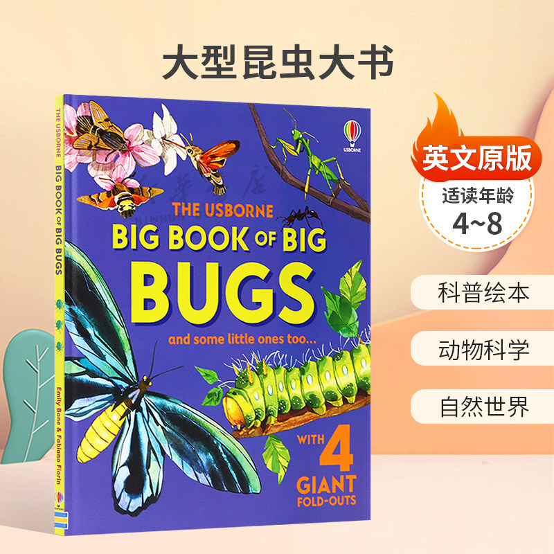 英文原版Big Book of Big Bugs大型昆虫大书世界最大昆虫入门书科普绘本 动物科学 自然世界精装STEAM读物科普入门4-8岁