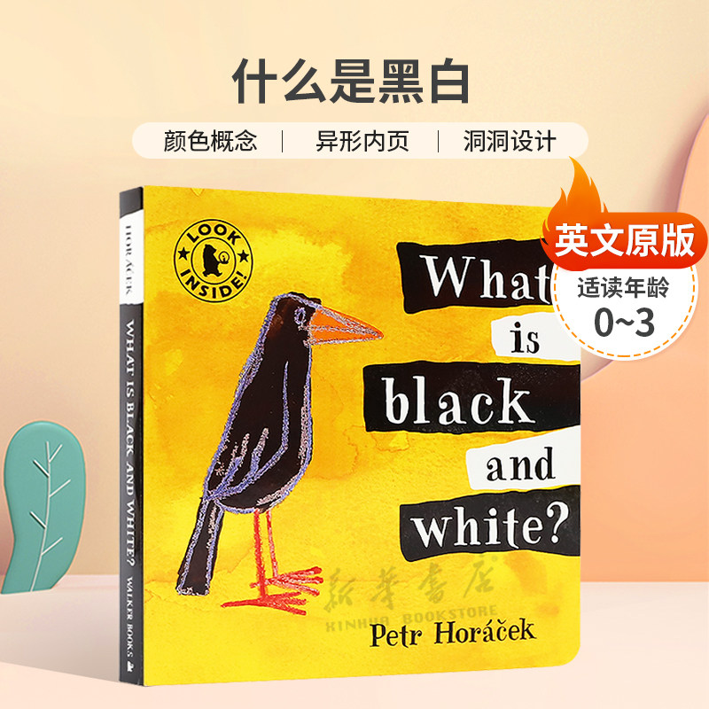 英文原版What Is Black and White?什么是黑白色彩洞洞书颜色概念 异形内页 洞洞设计纸板绘本0-3岁