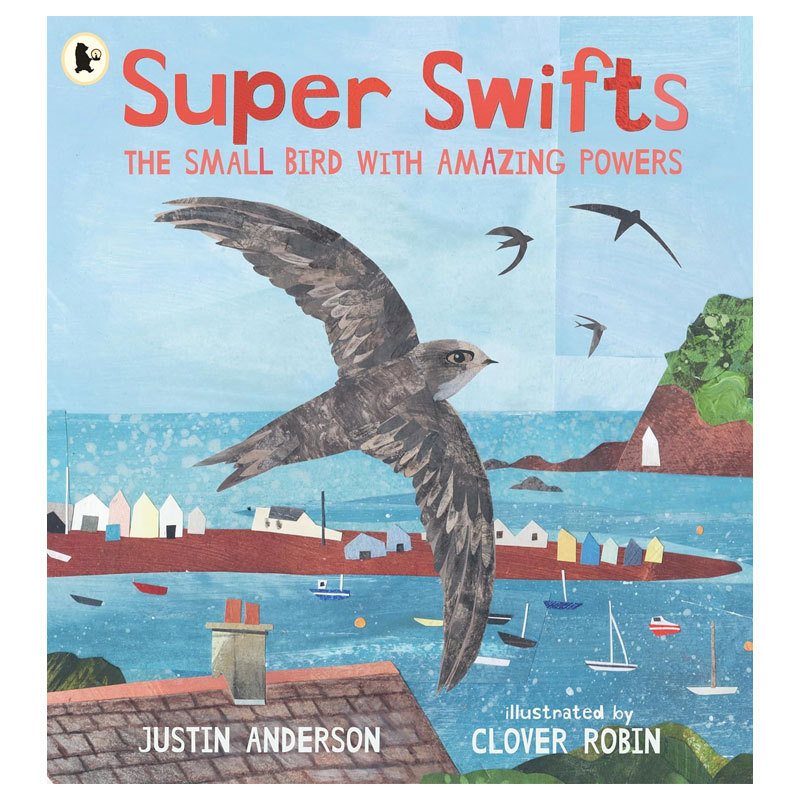 预售英文原版Super Swifts: The Small Bird With Amazing Powers超级雨燕雨燕北上之旅科普绘本 动物故事 自然世界平装绘本4-8岁