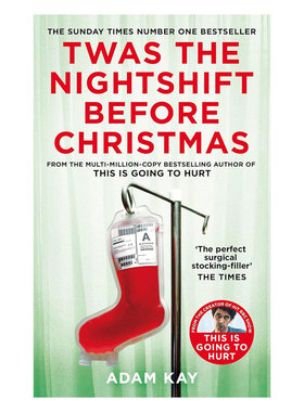 英文原版Twas The Nightshift Before Christmas 弃业医生日志2圣诞前夜上班 圣诞前夕的医院见闻百态人生 搞笑自传18岁+