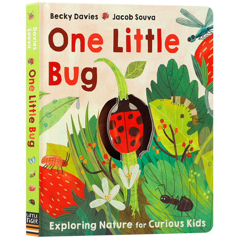 英文原版 One Little Bug (One Little) 一只小虫子 鼓励孩子探索自然认知绘本 4-8岁互动阅读科普百科翻翻书纸板书