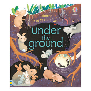翻翻机关 Under Ground the 科普知识纸板书了解世界 8岁 地底下 偷偷看里面 趣味认知 英文原版 进入地下世界 Peep Inside
