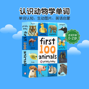 Animals 精装 动物 words 100 纸板书认识动物学单词 英文原版 3岁宝宝感知世界图片书儿童绘本低幼撕不烂纸板书 First