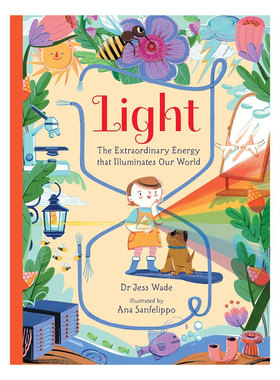 英文原版Light: The Extraordinary Energy That Illuminates Our World光：点亮世界的非凡能量地球生命至关重要的光科学科普