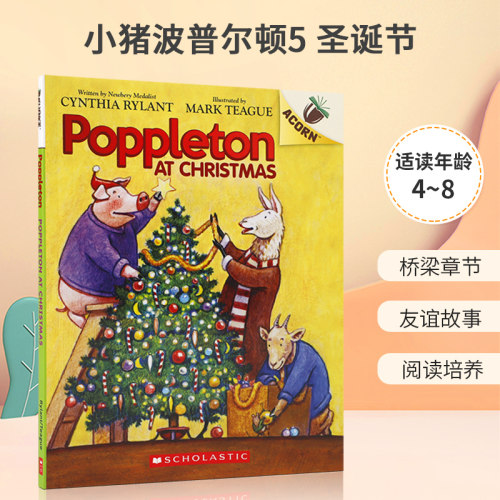 桥梁章节 友谊故事 阅读培养