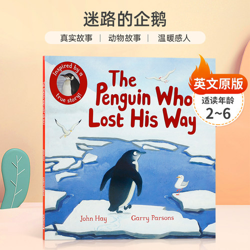 英文原版 The Penguin Who Lost His Way迷路的企鹅 关于一只勇敢的小企鹅的真实动物故事 2-6岁儿童启蒙动物故事平装绘本