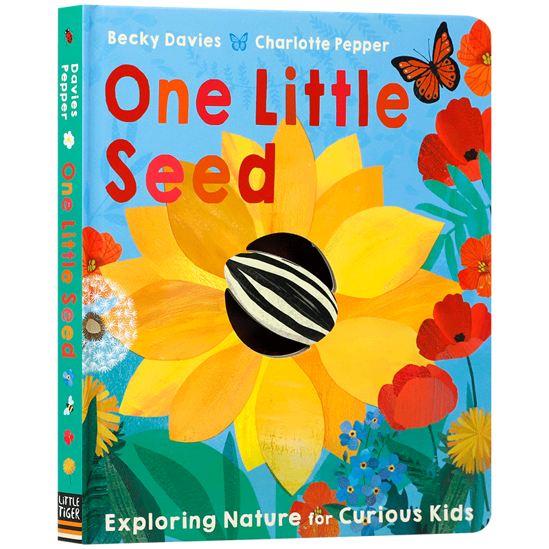 英文原版 One Little Seed (One Little) 一颗小种子 鼓励孩子探索自然认知绘本 4-8岁儿童宝宝互动阅读科普百科翻翻书纸板书