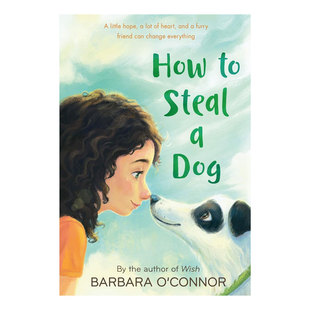 道德与现实困境 How Dog 英文原版 现实性故事 小说儿童文学10 Steal 温馨诙谐平装 14岁 家庭故事 如何偷走一只狗