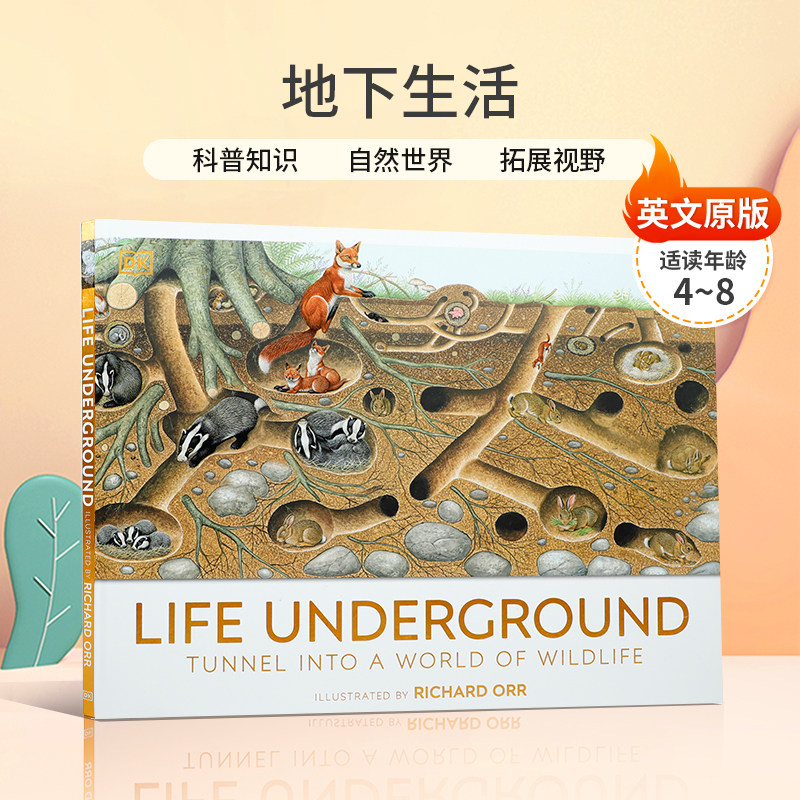 英文原版绘本DK Life Underground 地下生活地下生活 踏上大自然看不见的栖息地之旅儿童绘本4-8岁科普百科读物生物知识精装