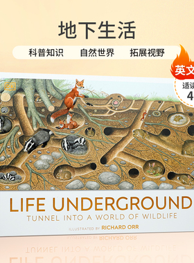 英文原版绘本DK Life Underground 地下生活地下生活  踏上大自然看不见的栖息地之旅儿童绘本4-8岁科普百科读物生物知识精装