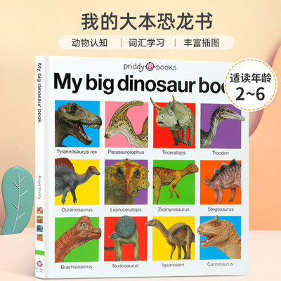 MyBigDinosaurBook