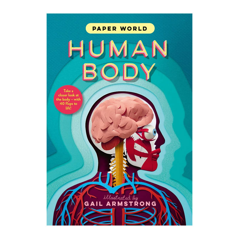 英文原版 Paper World: Human Body 纸上世界:人体 儿童阅读趣味科普纸艺精装翻翻书 亲子互动科普启蒙翻翻书 8-12岁
