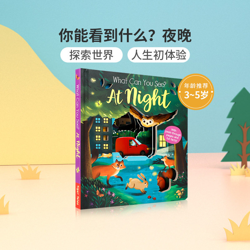 英文原版进口What Can You See? At Night你能看到什么？夜晚 低幼儿童英语启蒙绘本 亲子互动共读早教书 宝宝撕不烂纸板书