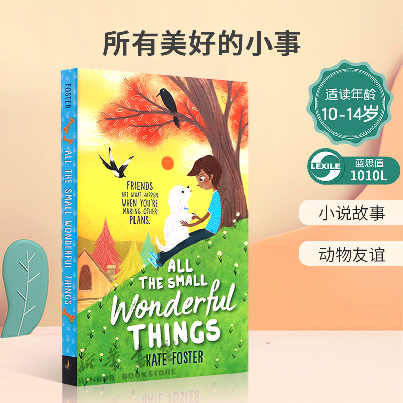 英文原版 All the Small Wonderful Things 所有美好的小事 狗狗与人的友谊 小说故事 动物友谊平装生活体验10-14岁