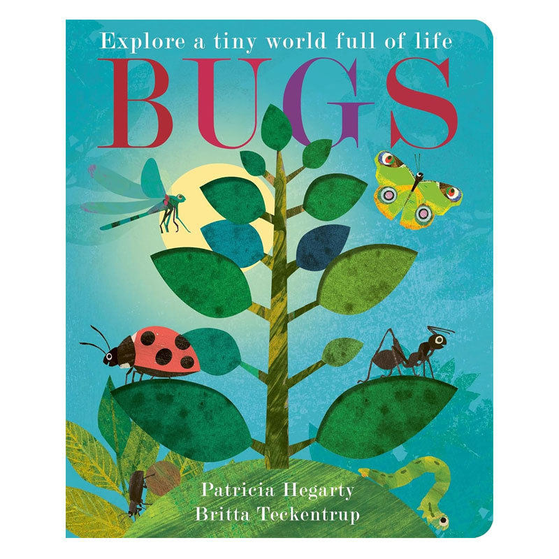 预售英文原版Bugs: Explore a tiny world full of life虫子 探索生命小世界自然世界探索科普洞洞书纸板绘本4-8岁