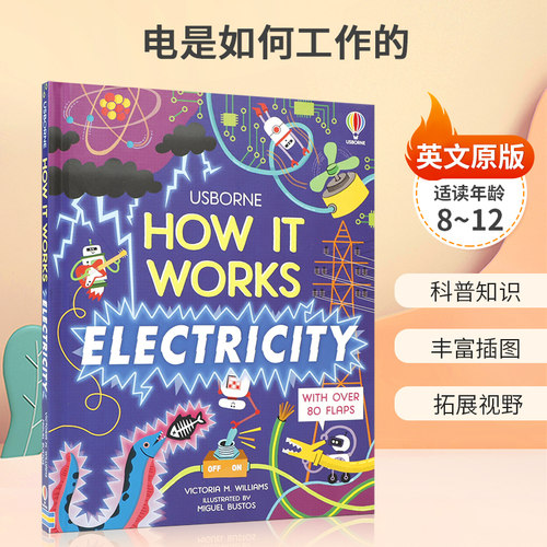 英文原版 尤斯伯恩How It Works: Electricity 电是如何工作的 8-12岁儿童启蒙认知 科普百科知识 拓展视野 丰富插图纸板绘本