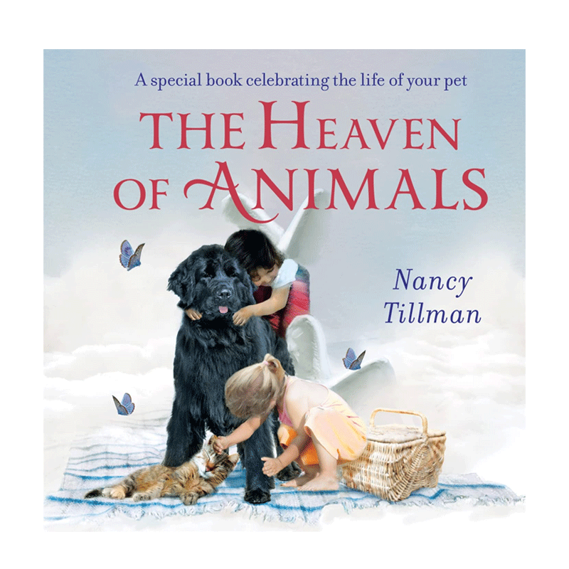 英文原版 The Heaven of Animals 动物天堂 如何面对宠物的离世 Macmillan Children's Books 儿童宝宝情绪认知纸板书绘本