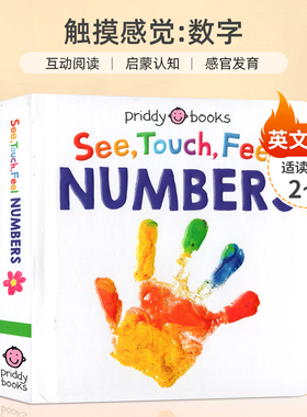 英文原版 See Touch Feel: Numbers  触摸感觉:数字 创造力想象 力培养触摸书 2-6岁幼儿宝宝思想启蒙认知感官发育纸板书