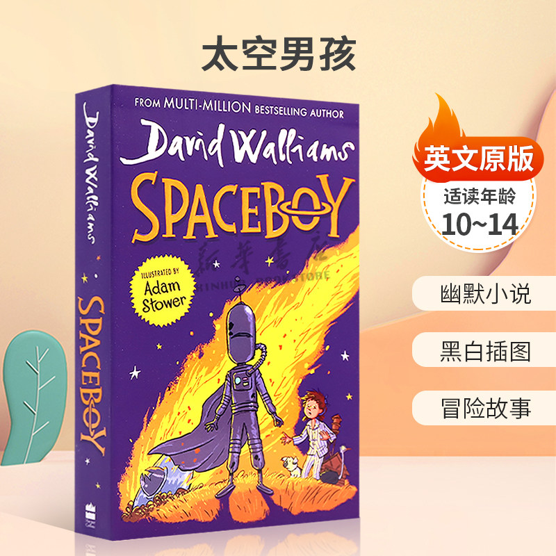 英文原版进口 Spaceboy 太空男孩 大卫威廉姆斯作品 幽默小说 黑白插图 冒险故事  平装小说  10-14岁