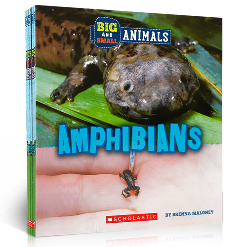 英文原版 Big and Small Animals 系列5本 4-8岁宝宝儿童科普百科认识世界课外读物STEAM Children's Press出版进口原版