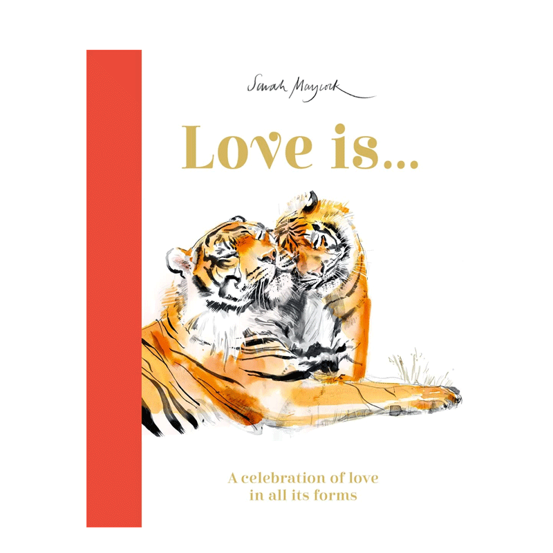 英文原版 Love Is...: A Celebration of Love in All Its Forms 爱是...:庆祝各种形式的爱 4-8岁儿童宝宝温暖治愈绘本精装