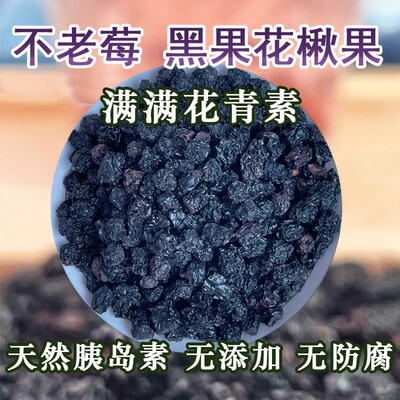 长白山不老莓黑果花楸果不老梅