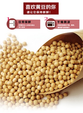 康丽豆芽机培植黄豆轻松500g配料