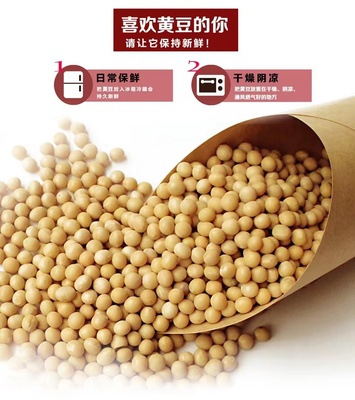 康丽豆芽机高发芽率味道清香