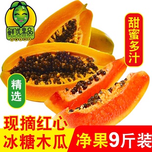 海南红心甜木瓜牛奶9斤牛奶冰糖心青木瓜树上熟整箱新鲜水果包邮