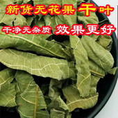 无花果中药材无花果干叶茶干货无花果叶子现剪现发无添加