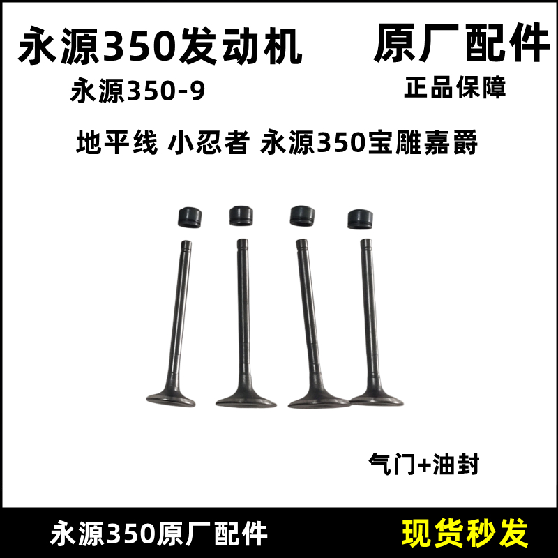 永源宝雕350小忍者战隼地平线双缸摩托车发动机凸轮气门顶杆油封-封面