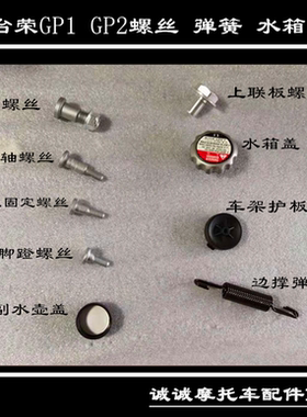 台荣GP2摩托车250-A 400 GP1边撑螺丝弹簧副水壶水箱盖踏板轴螺栓