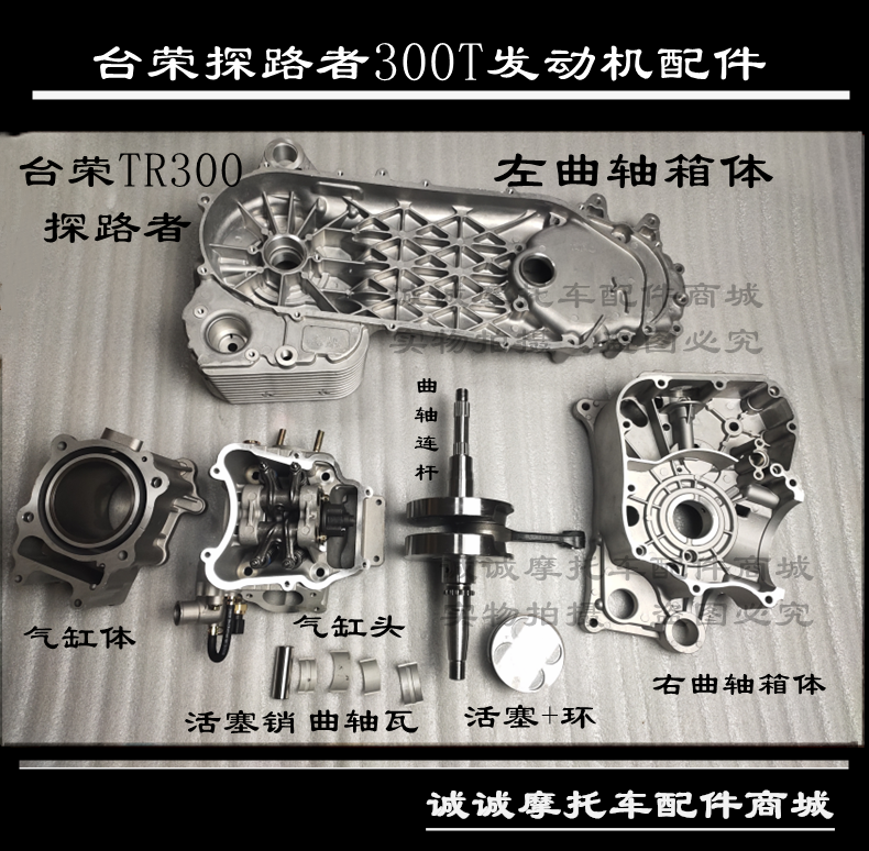 台荣探路者摩托车箱体台荣