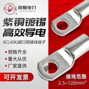 铜鼻子紫铜凤凰铜接线端子SC（JGK）10-240紫铜窥口  镀锡 批发