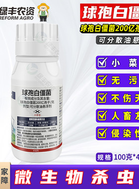 球孢白僵菌微生物源杀虫剂