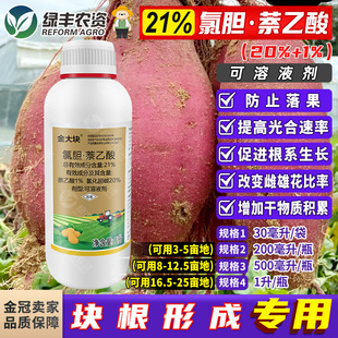 金大块21%氯化胆碱萘乙酸马铃薯土豆膨大剂促进生根促生长调节剂